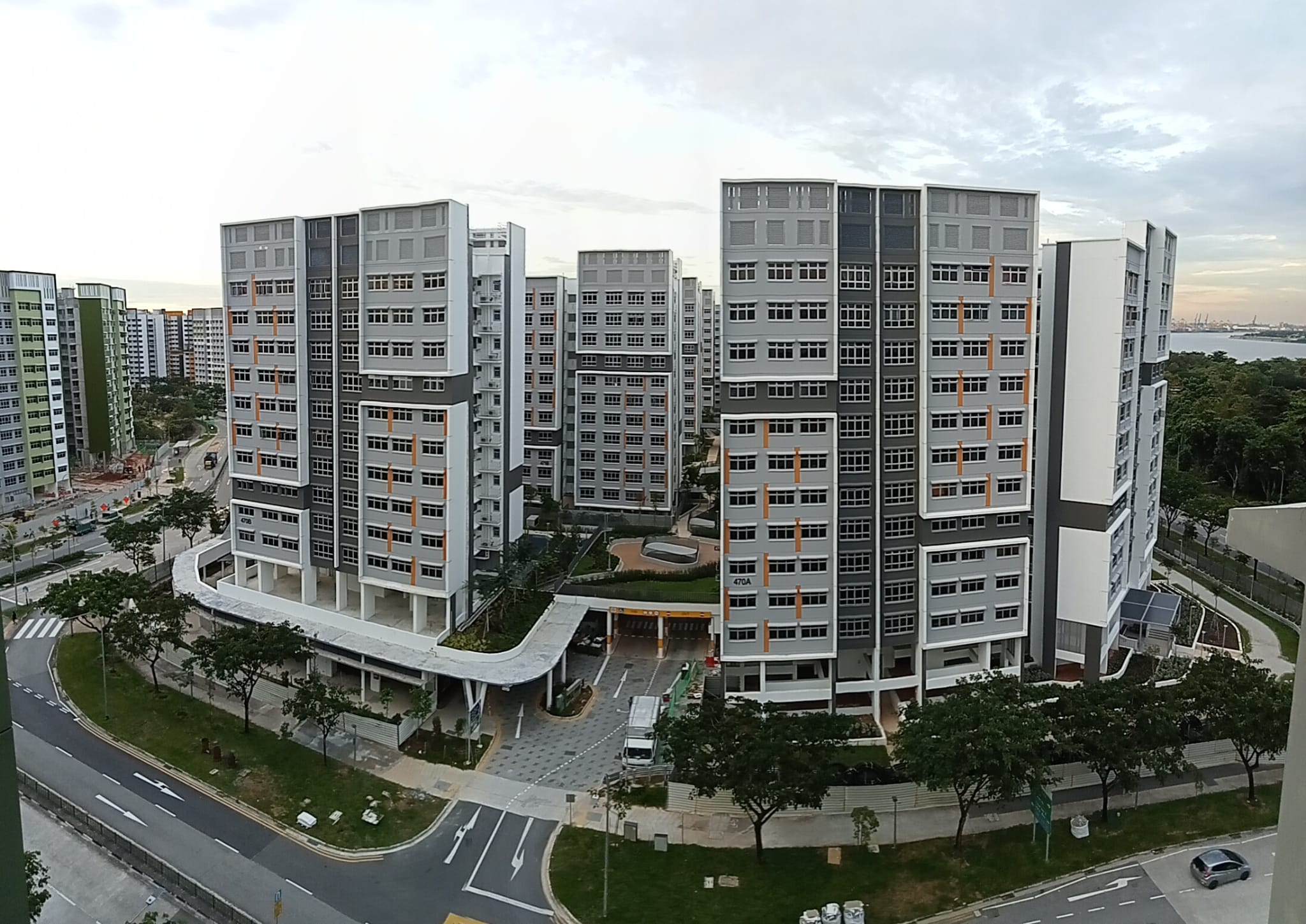 Forest Spring (HDB)